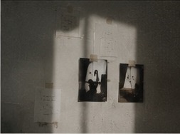 Printed photographs and wall notes